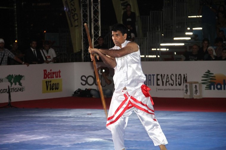 Martial Arts Festival